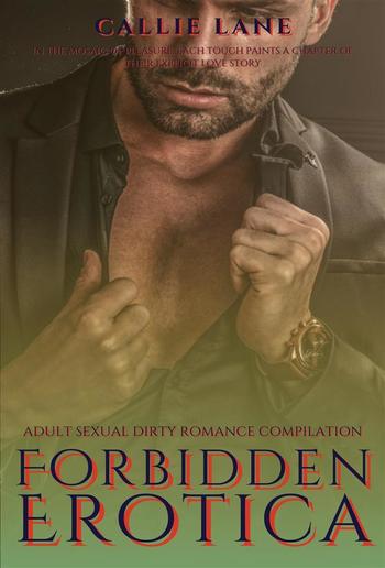 Forbidden Erotica PDF