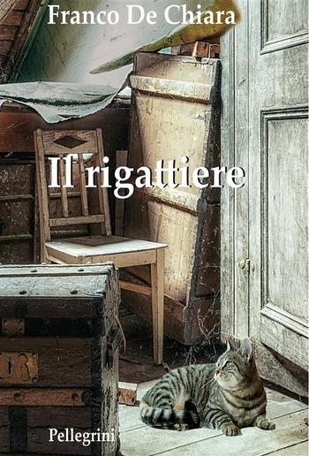 Il rigattiere PDF