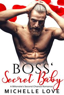 Boss' Secret Baby PDF