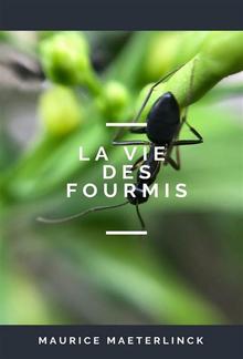 La Vie des Fourmis PDF