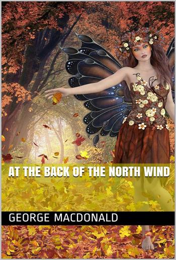 At the Back of the North Wind PDF