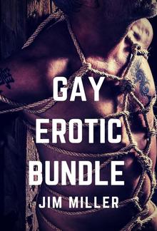 Gay Erotic Bundle PDF