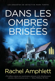 Dans les ombres brisées PDF