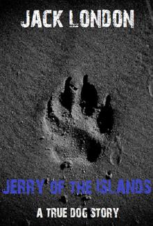 Jerry of the Islands PDF