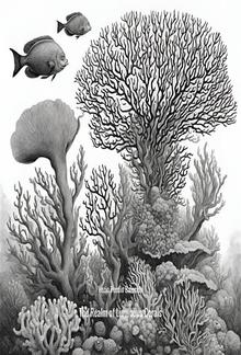 The Realm of Luminous Corals PDF