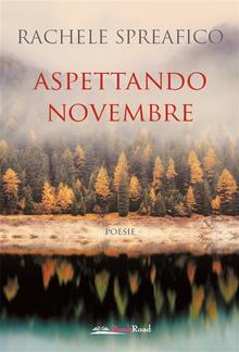 Aspettando novembre PDF