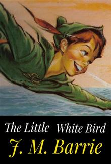 The Little White Bird PDF