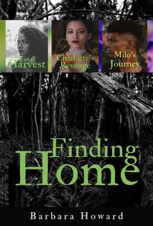 Finding Home Mystery Series PDF