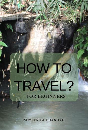 How to travel for beginners PDF
