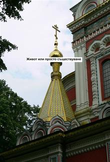 Живот или просто съществуване PDF