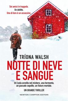 Notte di neve e sangue PDF