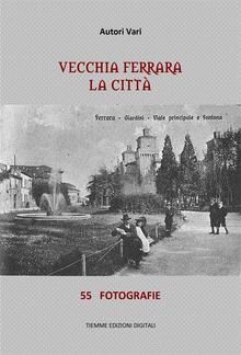 Vecchia Ferrara, La città PDF