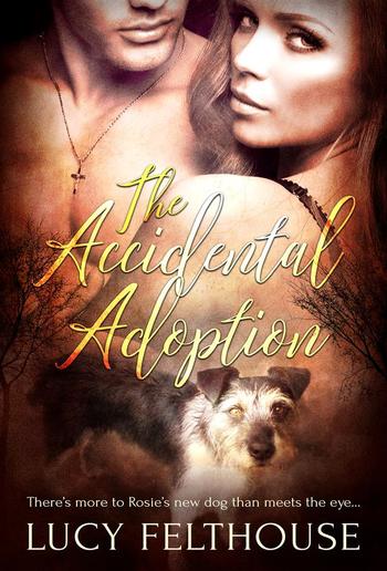 The Accidental Adoption PDF