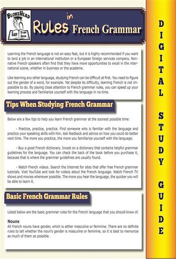 French Grammar ( Blokehead Easy Study Guide) PDF