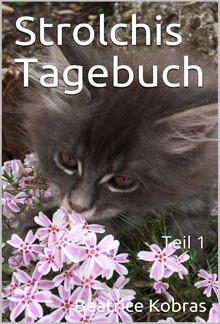 Strolchis Tagebuch - Teil 1 PDF