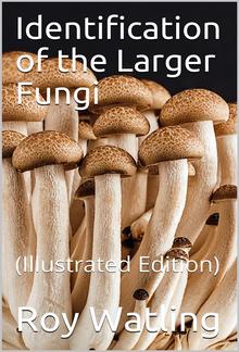 Identification of the Larger Fungi PDF