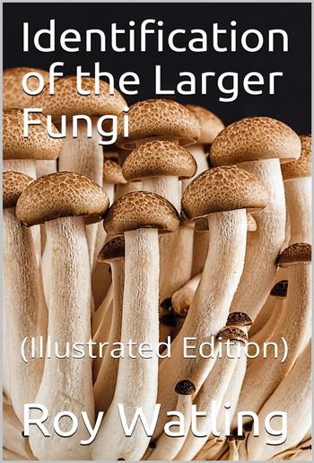 Identification of the Larger Fungi PDF