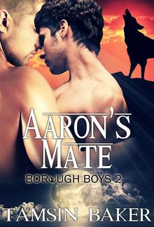 Aaron's Mate PDF