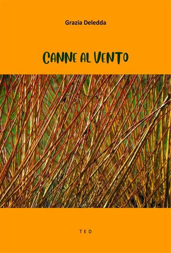 Canne al vento PDF