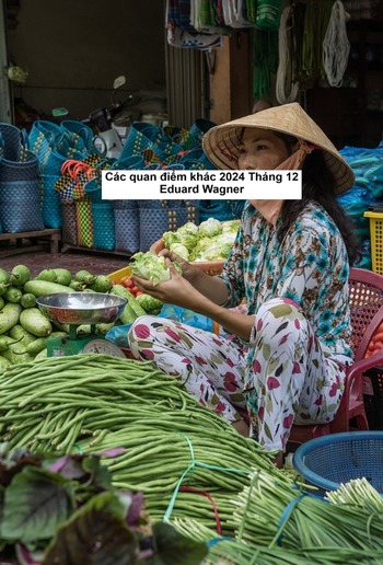 Các quan điểm khác 2024 Tháng 12 PDF Các quan điểm khác 2024 Tháng 12 PDF