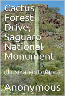 Cactus Forest Drive, Saguaro National Monument PDF