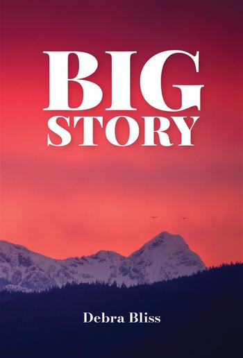 Big Story PDF