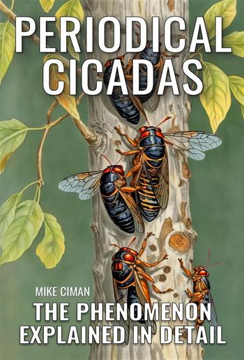 Periodical Cicadas - The Phenomenon Explained In Detail PDF