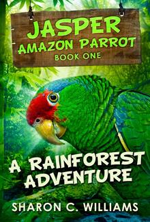 A Rainforest Adventure PDF