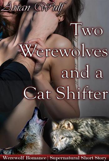 Two Werewolves and a Cat Shifter PDF