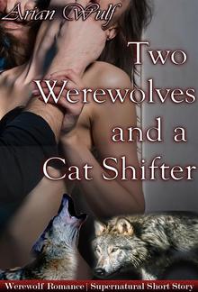 Two Werewolves and a Cat Shifter PDF