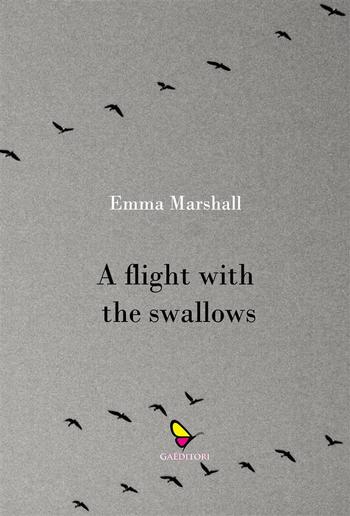 A Flight with the Swallows PDF