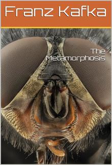 Metamorphosis PDF