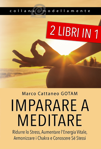 Imparare a Meditare: Ridurre lo Stress, Aumentare l'Energia Vitale, Armonizzare i Chakra e Conoscere Sé Stessi (2 LIBRI IN 1) PDF