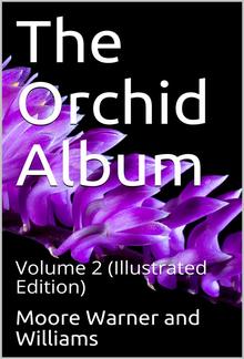 The Orchid Album, Volume 2 / comprising coloured figures and descriptions of new, rare, / and beautiful Orchidaceous Plants PDF