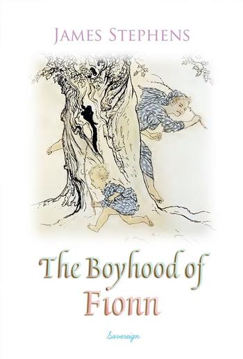 The Boyhood of Fionn PDF