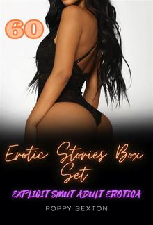 60 Erotic Stories Box Set PDF