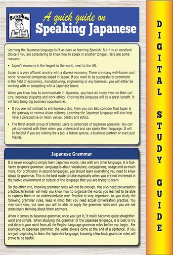 Japanese Grammar ( Blokehead Easy Study Guide) PDF