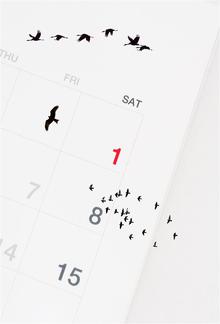 Birds In The Calendar PDF