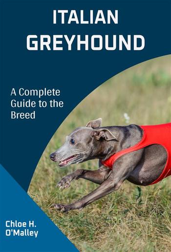 Italian Greyhound PDF