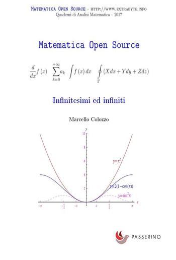 Infinitesimi e infiniti PDF