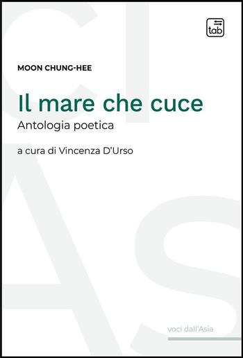 Il mare che cuce PDF