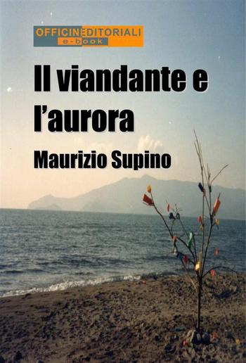 Il viandante e l'aurora PDF