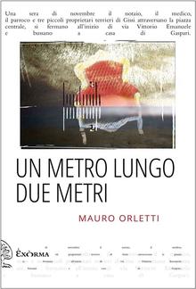 Un metro lungo due metri PDF