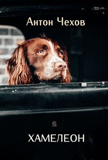 Хамелеон PDF