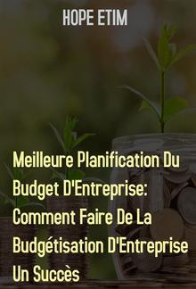 Meilleure Planification Du Budget D'Entreprise PDF