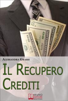 Il Recupero Crediti. Strategie per la Gestione Efficace dei Crediti non Performing PDF