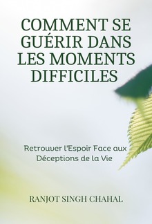 Comment se Guérir dans les Moments Difficiles : Retrouver l'Espoir Face aux Déceptions de la Vie PDF