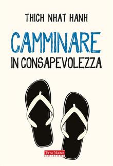 Camminare in consapevolezza PDF