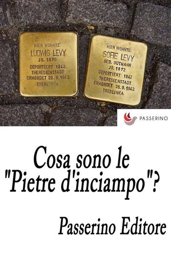 Cosa sono le "Pietre d'inciampo"? PDF