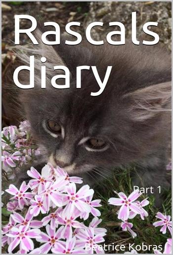 Rascals diary - Part 1 PDF